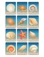 Jeu d'images-Les coquillages Jeu d'images-Les coquillages
