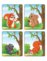 Jeu d'images-Les écureuils Jeu d'images-Les écureuils
