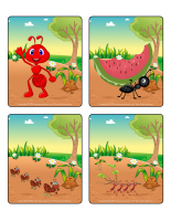 Jeu d'images-Les fourmis Jeu d'images-Les fourmis