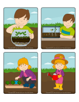 Jeu d'images-Les semences-2 Jeu d'images-Les semences-2