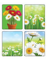 Jeu d'images-Marguerites-2