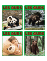 Jeu d'images-Ours-2