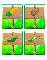 Jeu d’images-Potager-2