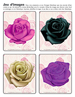 Jeu d'images-Saint-Valentin-les roses Jeu d'images-Saint-Valentin-les roses