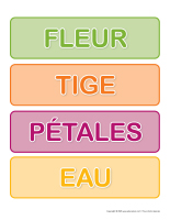 Jeu de mots-Fleurs-2