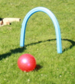 Jeu de soccer avec des nouilles de piscine-2 Jeu de soccer avec des nouilles de piscine-2