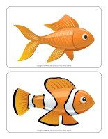 Jeu des poissons Jeu des poissons