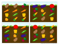 Jeu plans de potager-3