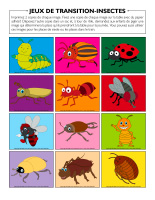 Jeux de transition-Insectes-1