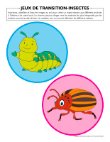 Jeux de transition-Insectes-2