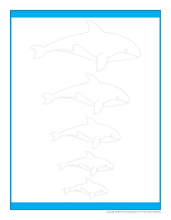 Jeux des grandeurs-Les baleines Jeux des grandeurs-Les baleines