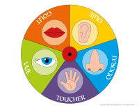 Jeux roulette cinq sens Jeux roulette cinq sens