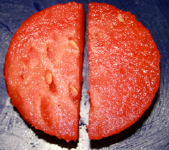 Jouer avec le melon d’eau-3 Jouer avec le melon d’eau-3