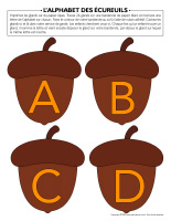 L’alphabet des écureuils