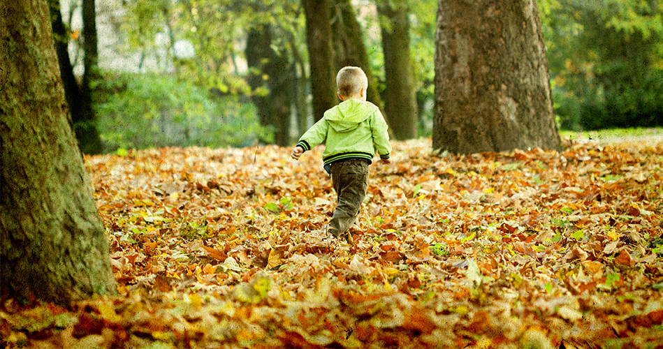 L'automne