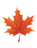 L’automne à enfiler L’automne à enfiler
