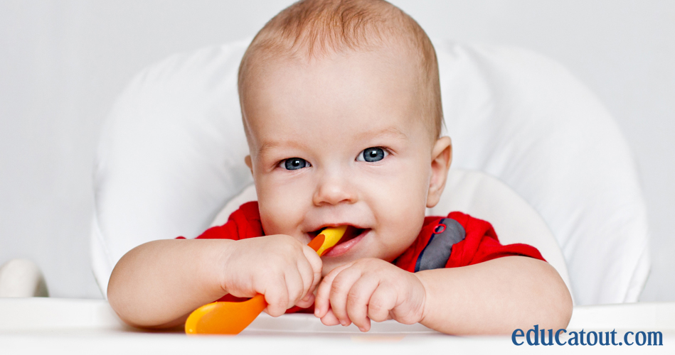 2Pcs Fourchette Bebe, Cuillere Bebe, Carottes Cuillère Bebe Nourrir Le  Bébé, Augmenter l'Appétit, l'Enthousiasme Et Le Plaisir De Manger,  Recommandé