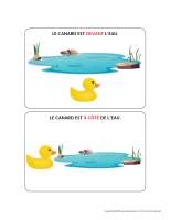 Le canard et les reperes spatiaux-1