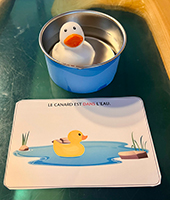 Le canard et les reperes spatiaux-3