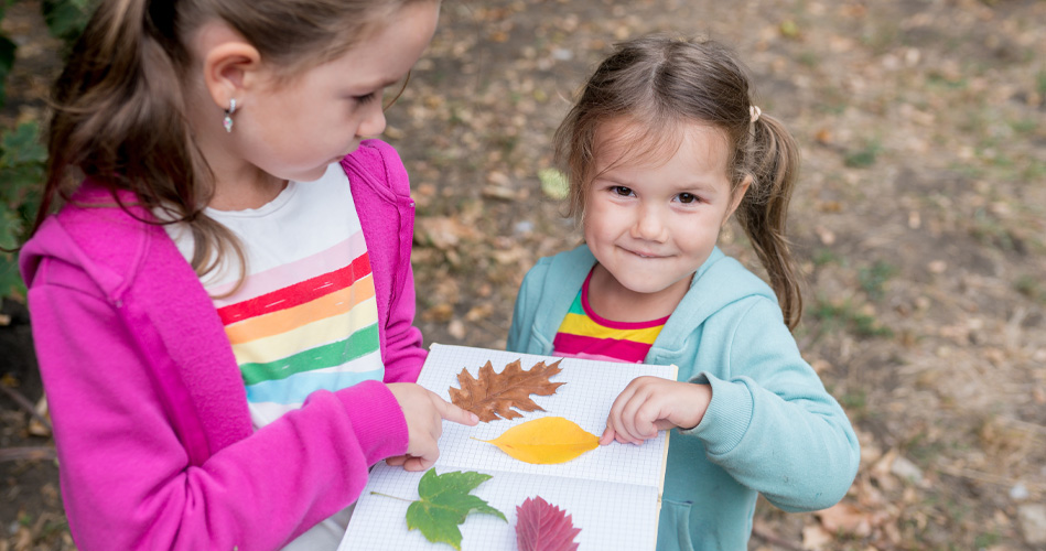 Le coin des sciences en automne