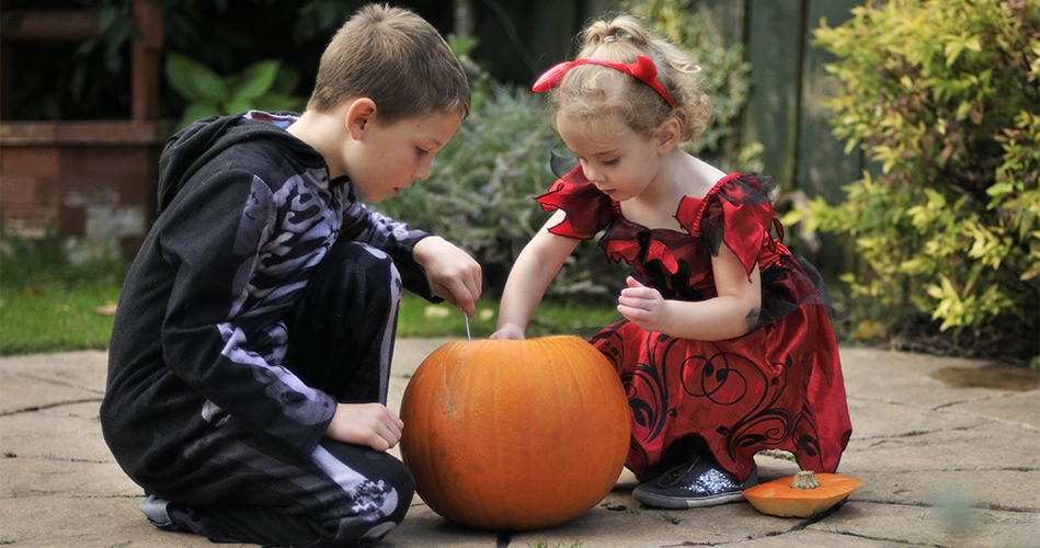 Le coin des sciences en automne