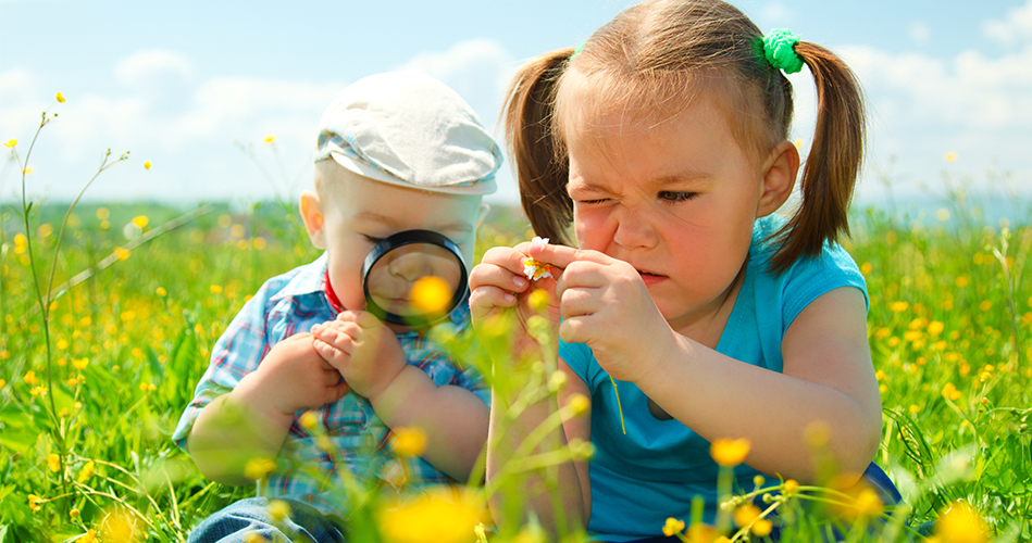 Le coin des sciences en été