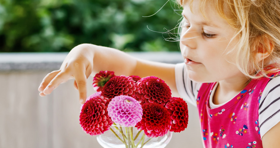 Le jardinage, une occasion de stimuler léveil aux mathématiques