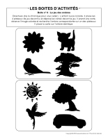 Le jeu des ombres boites activites