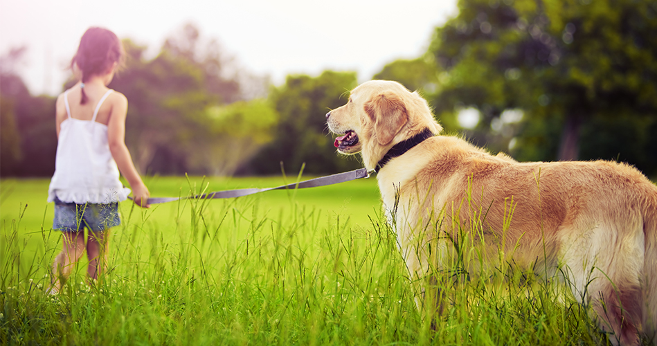 Le mot chien