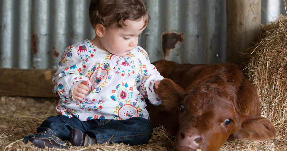 Les animaux de la ferme avec les poupons