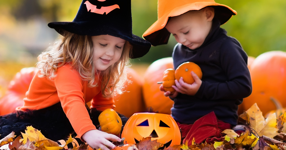 Halloween - Citrouilles