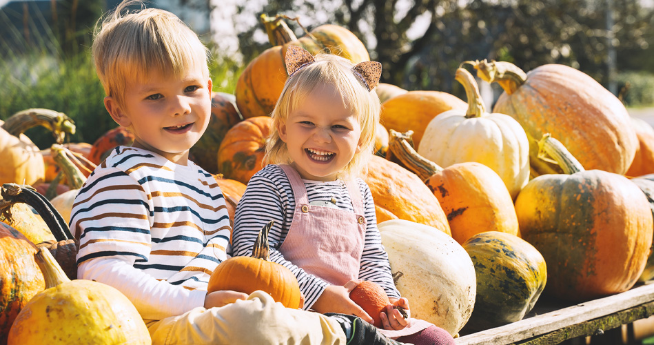 Les citrouilles et les courges dautomne : jeux pour les petits