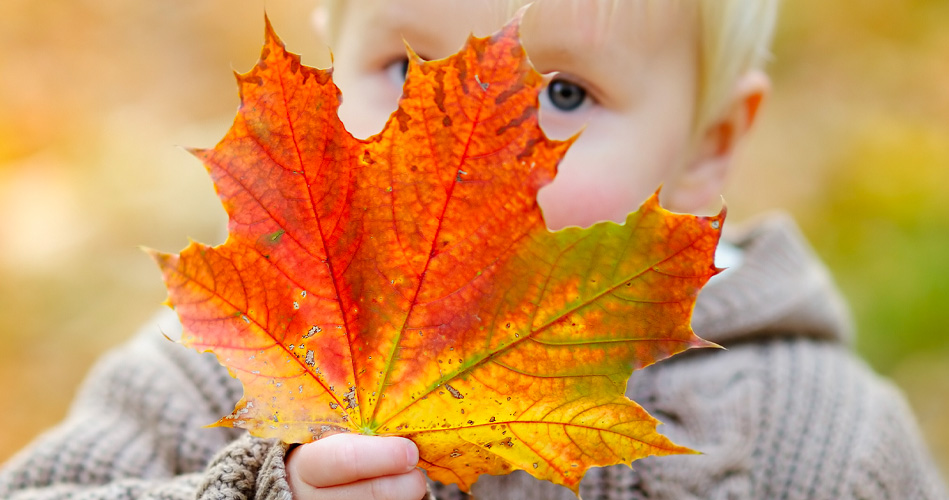 Les feuilles dautomne et la motricité de la main