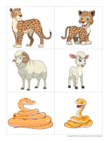 Les papas animaux
