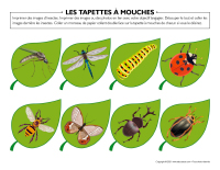 Les tapettes a mouches-2