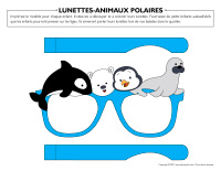 Lunettes-Animaux polaires