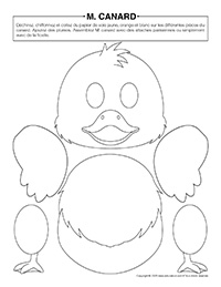 M Canard