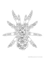 Mandalas-Araignees