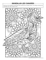 Mandalas-Canards