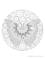 Mandalas-Insectes