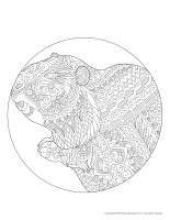 Mandalas-Jour de la marmotte