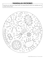 Mandalas-Microbes