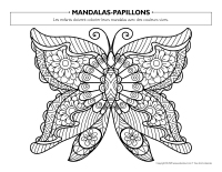 Mandalas-Papillons