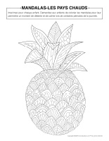 Mandalas-Pays chauds