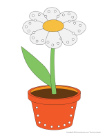 Marguerites à lacer-1
