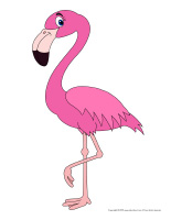 Flamants Roses Activités Pour Enfants Educatout