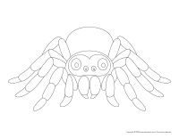 Modeles-Araignees 2025