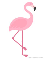 Flamants Roses Activités Pour Enfants Educatout