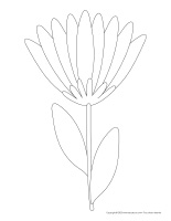 Modèles-Jardins de fleurs