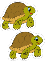 Modèles-Les tortues Modèles-Les tortues